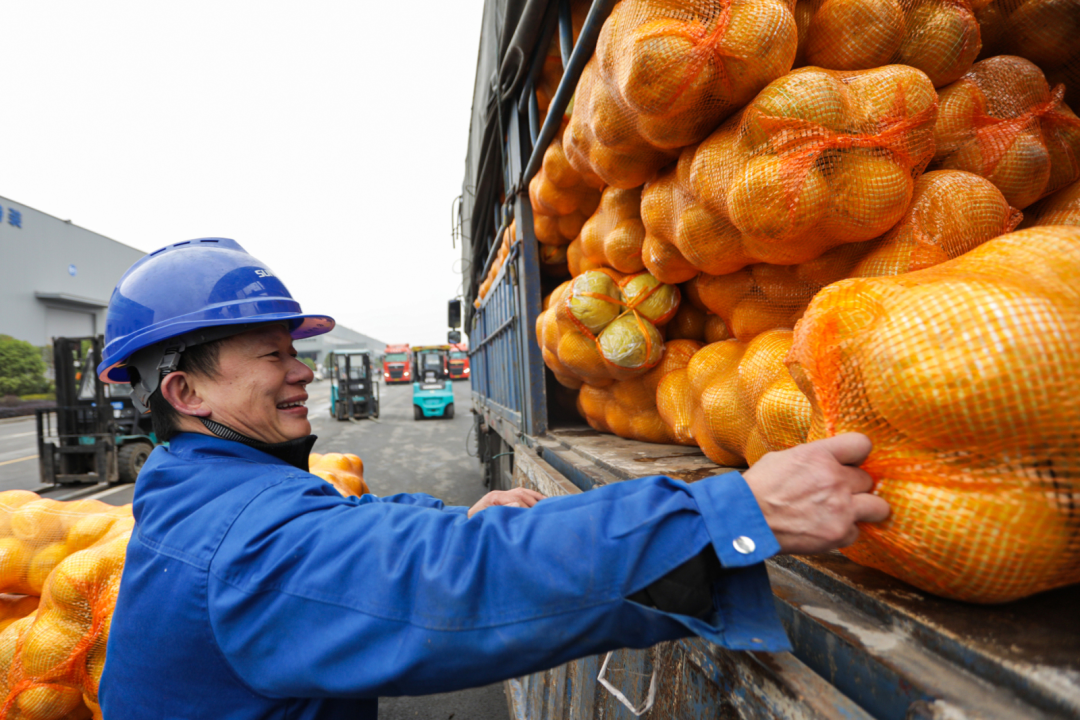点赞！TVT体育官网智能成功入选“上市公司乡村振兴优秀实践案例”